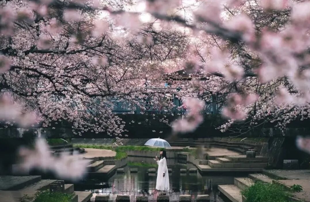 精准匹配伴侣需求的沟通清单