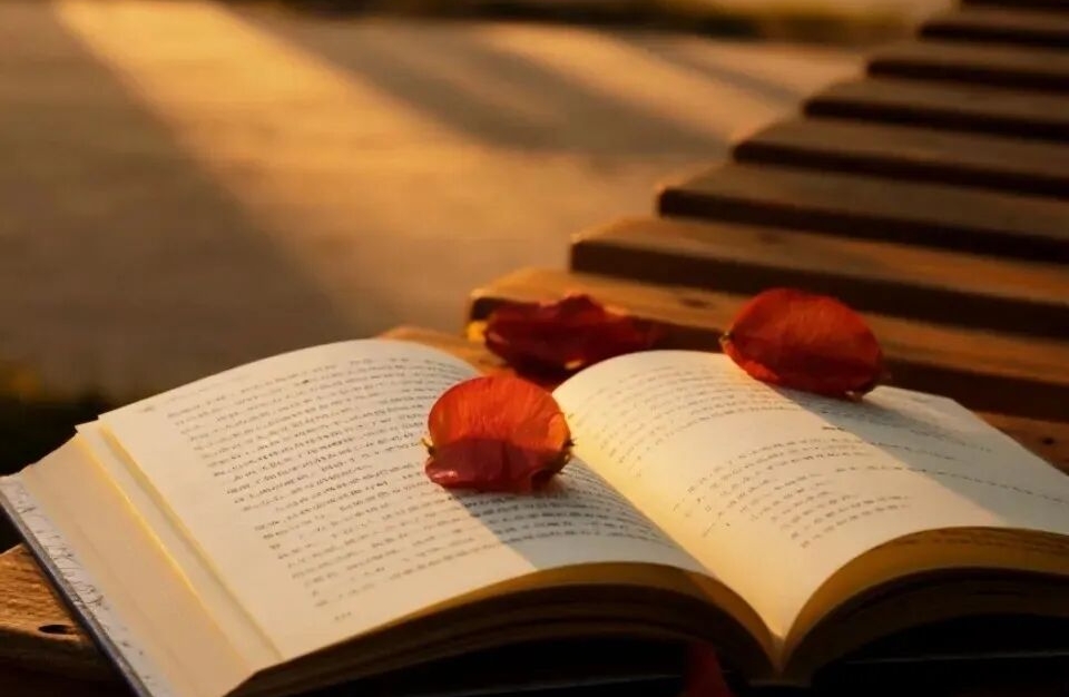 付出不被认可的情绪调整