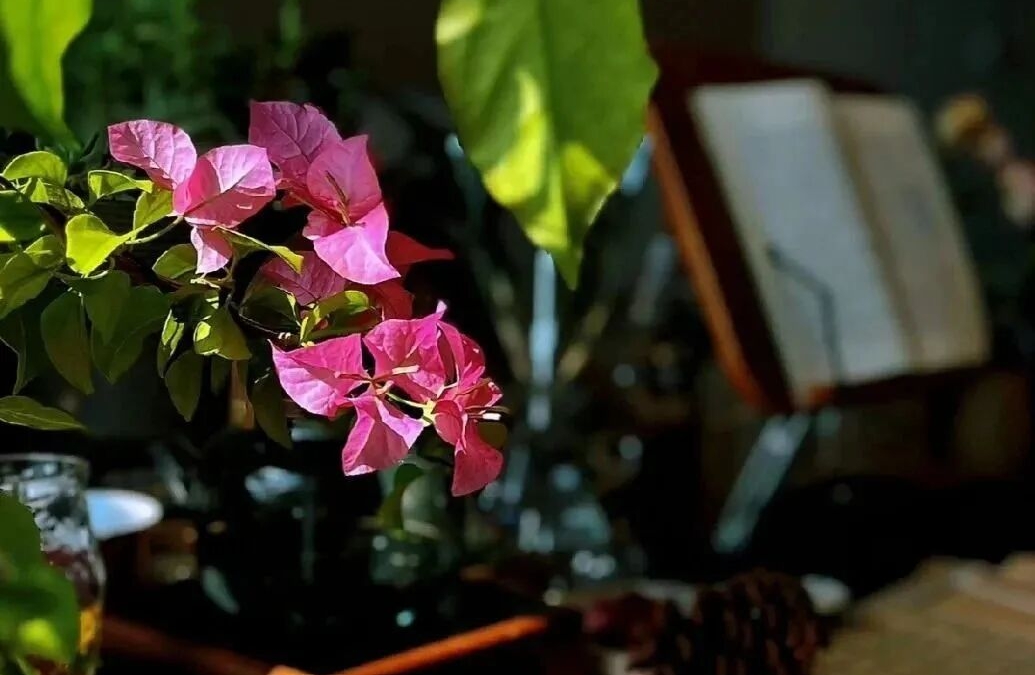 热恋期每周需求复盘3个核心