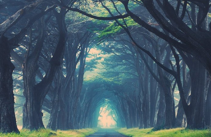 追求幸福的简单方法。