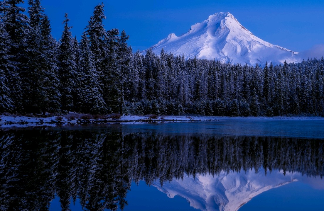 常见吵架类型#帮助大家正向吵架🤔吵出感情和爱😉