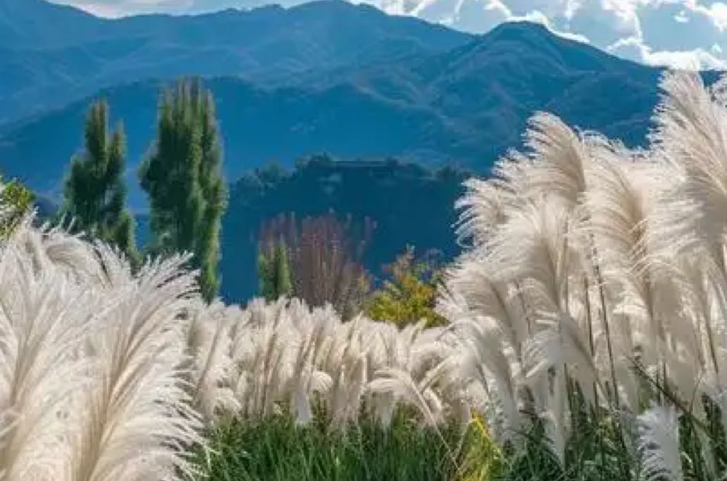 “忍让付出千百手，别人拿你当小丑”讨好型人格怎么救自己？