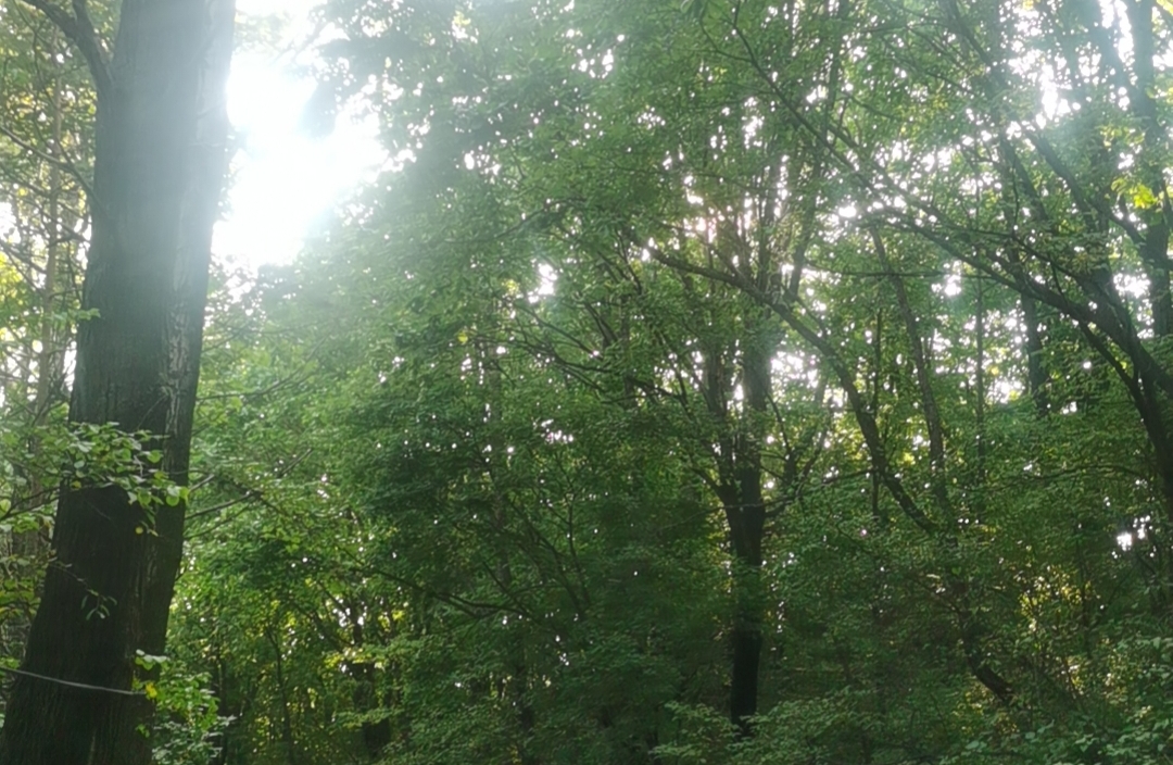 回避型人格在亲密关系中有哪些表现