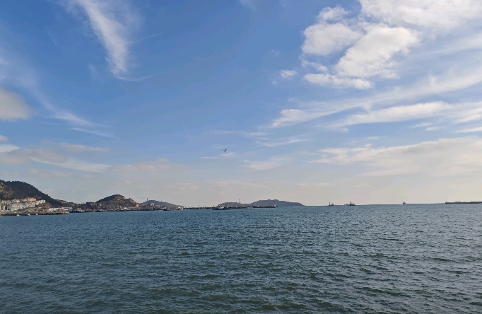 情感里的“弃猫效应”：四要素教你读懂关系的弹性