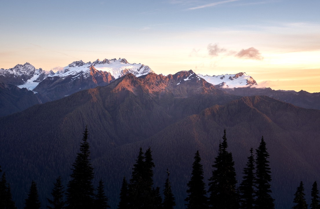 发霉苹果的比喻，如何在被指责或攻击时保持冷静呢🤔