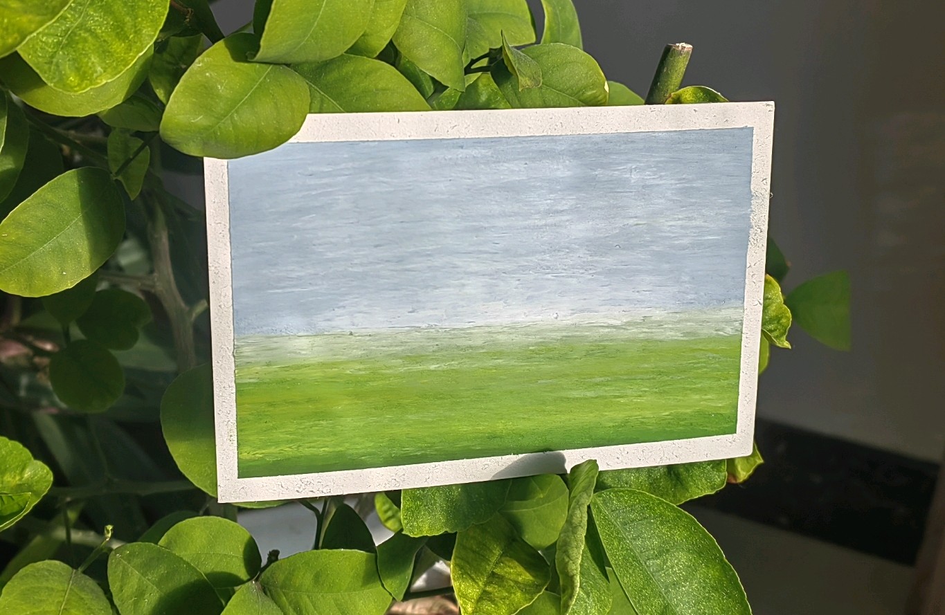 年末如何丰盈自己不内耗