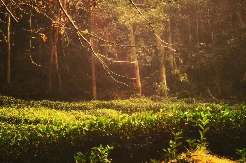 怎样温暖一个回避型人格