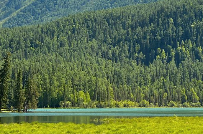 焦虑的核心应对策略