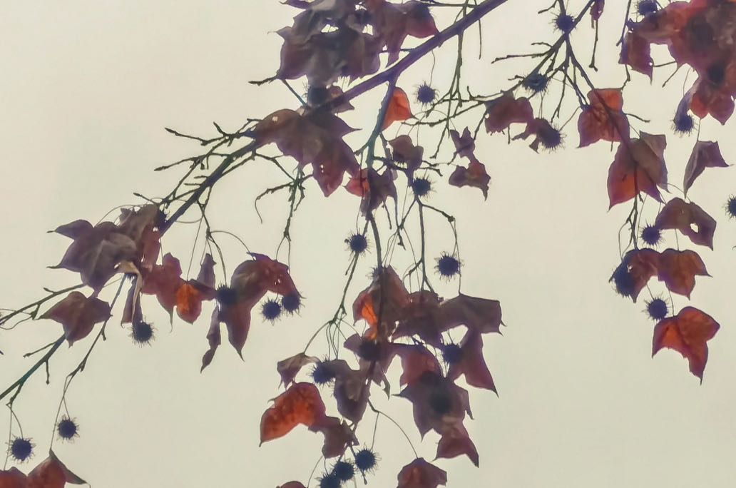 情感中的确定性幻觉：为何我们总在寻找“不会变”的证明？