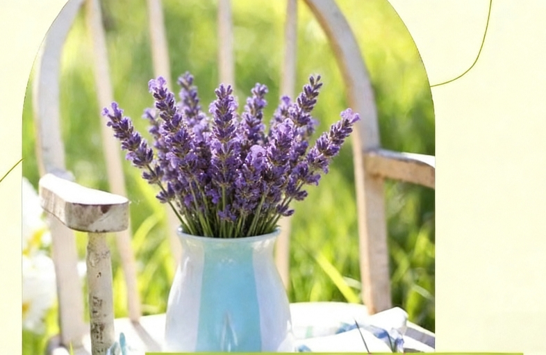 用好“好奇效应”，让亲密关系越处越有新鲜感