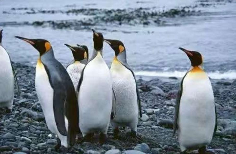 孩子喜欢听的话，你经常会说哪些呢?