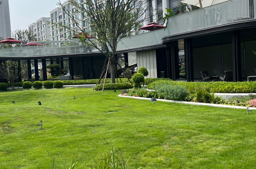 假性亲密：我们明明在一起却像隔着墙