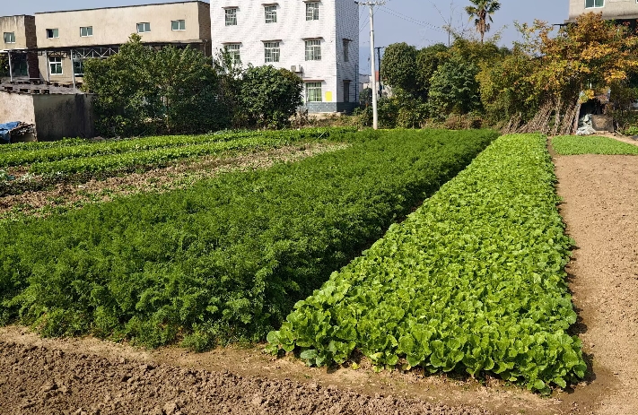 如何应对情绪内耗