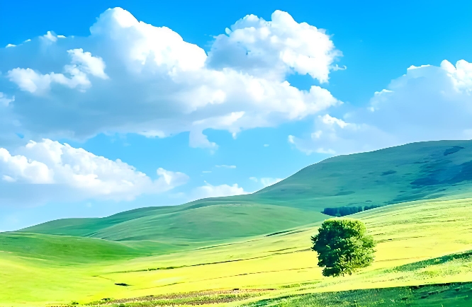 夫妻之间沟通的艺术，抓住五个要点，让亲密关系更紧密