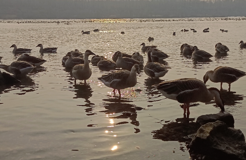 如何跟回避型伴侣相处？抓住五点，让感情更稳更舒适