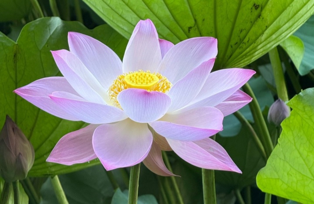 强势关系中如何获得主动权