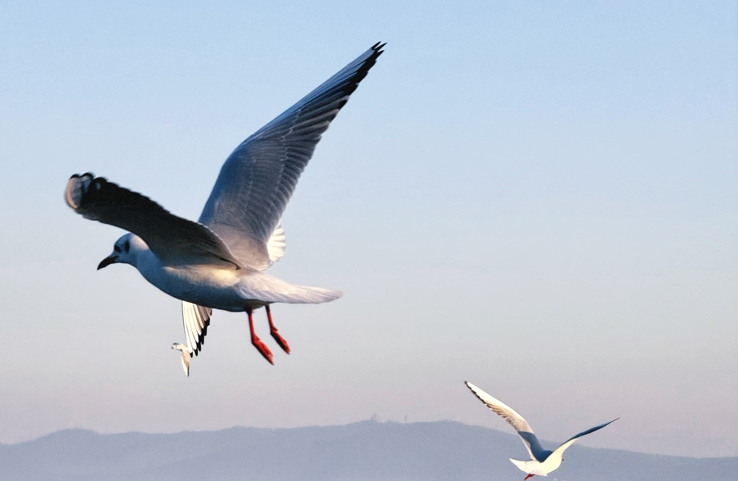 中年债务危机，我的背脊比数字更沉重