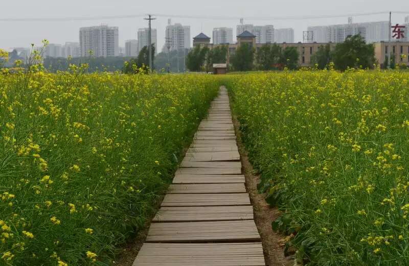 如何缓解焦虑情绪