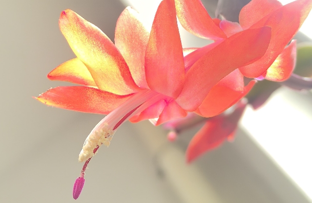 如何用坚固的心理边界抵挡别人的不尊重