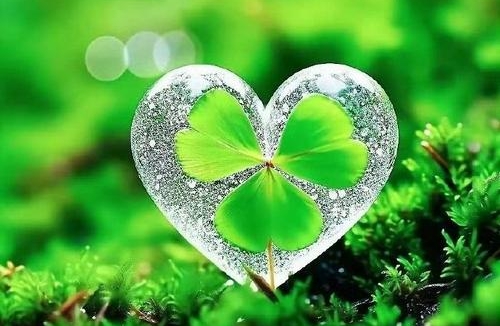 应对学习压力技巧