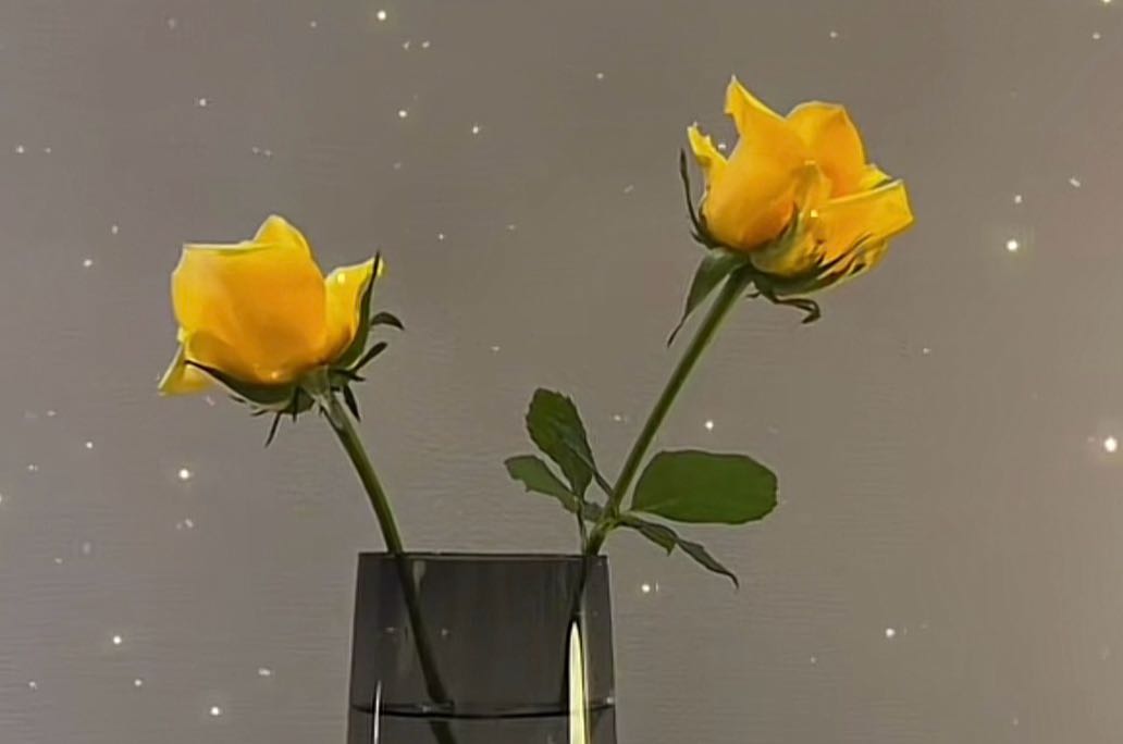 分手后，我把自己重新拼了一遍