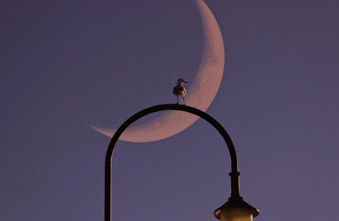 什么是最基本的共情