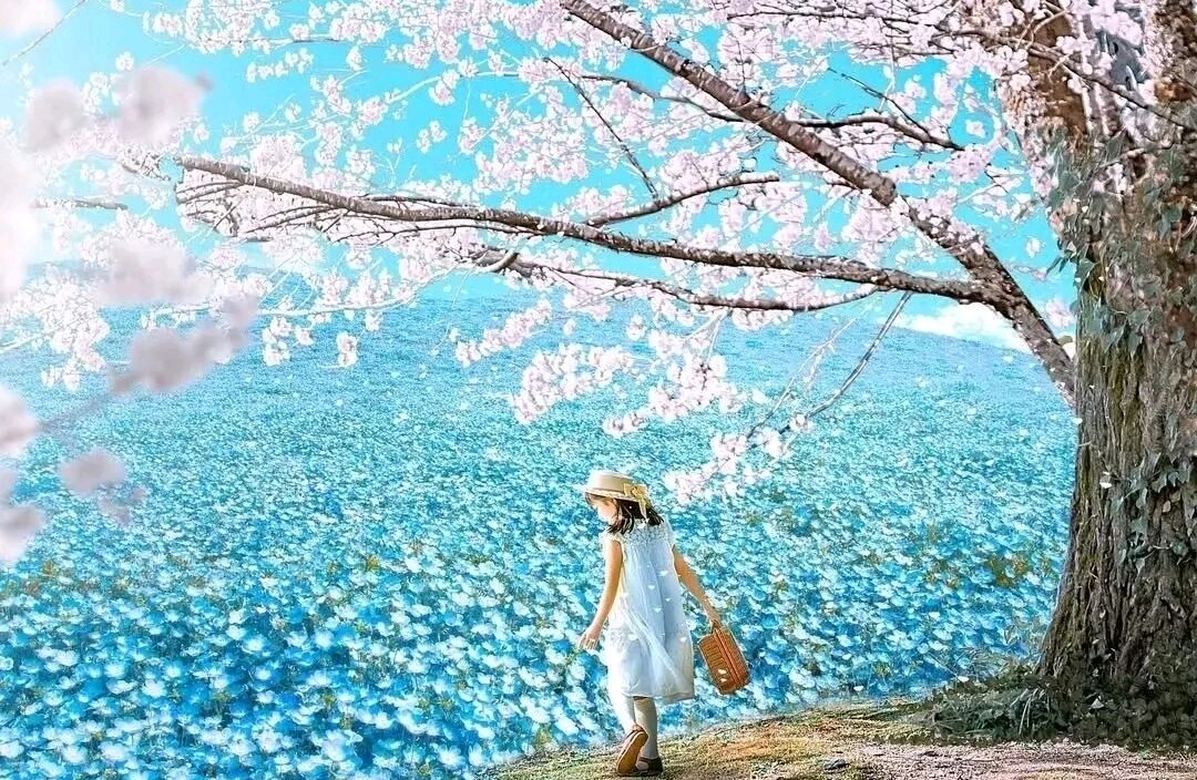 分手后如何爱自己