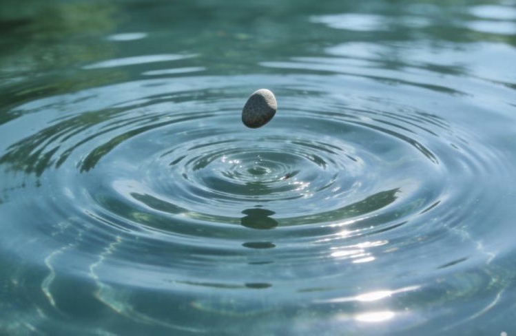 化解沟通僵局：“非暴力沟通”四步实践法