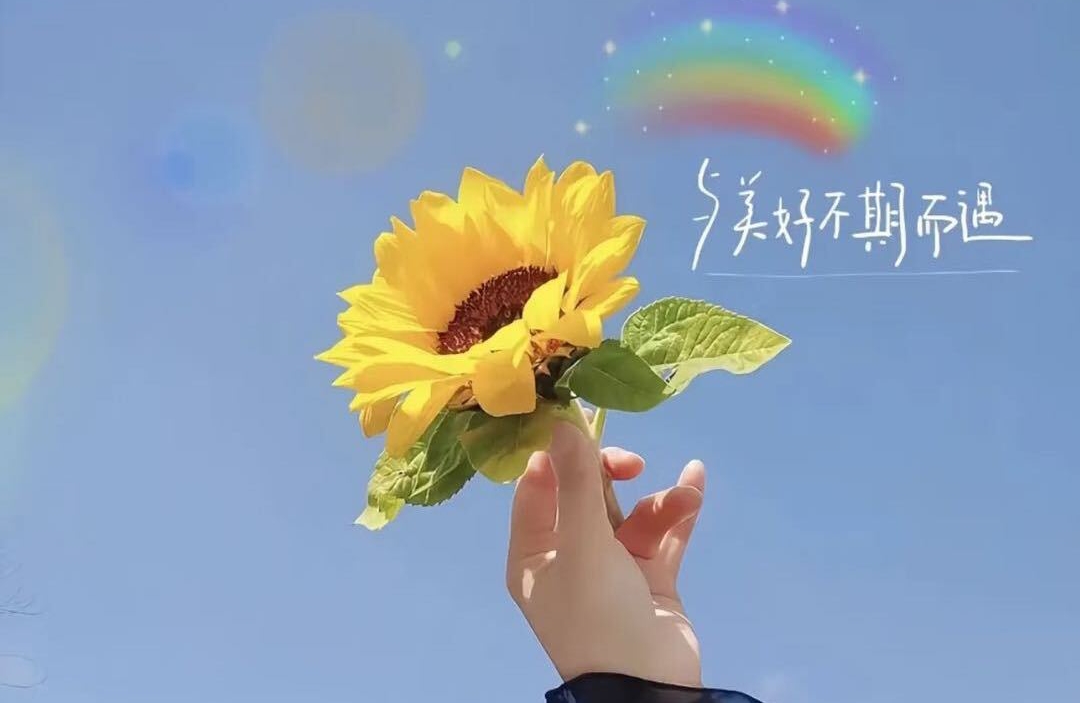 想应对情绪内耗，具体该怎么做？