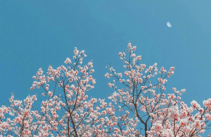 如何将断舍离应用到个人成长中？