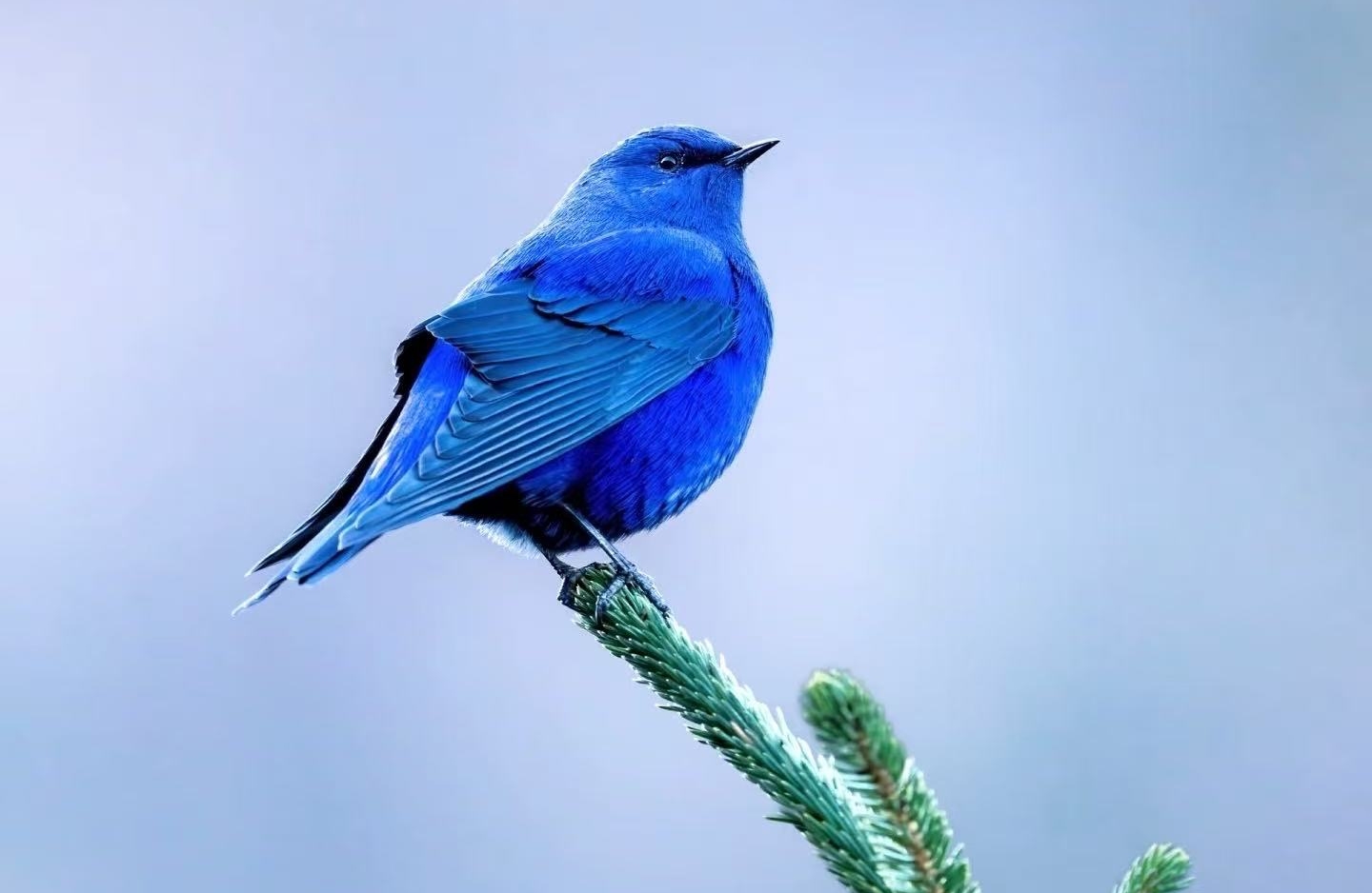 恋爱中女生说“随便”的潜台词