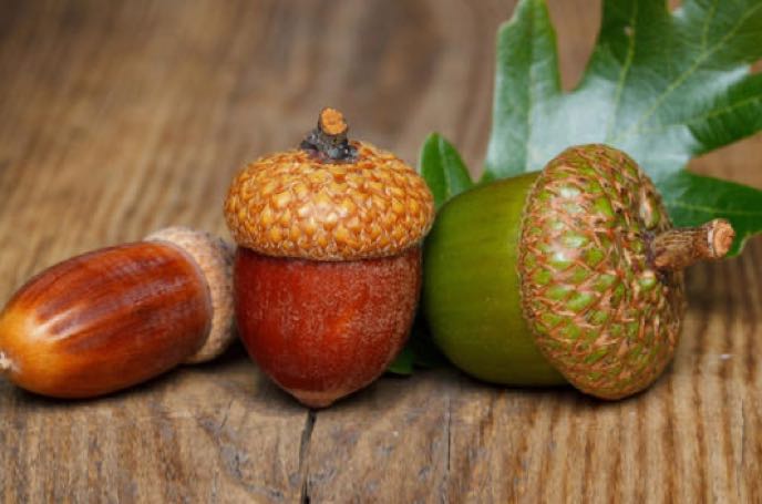 情感关系中如何面对回避依恋人格:在理解与边界中构建安全联结