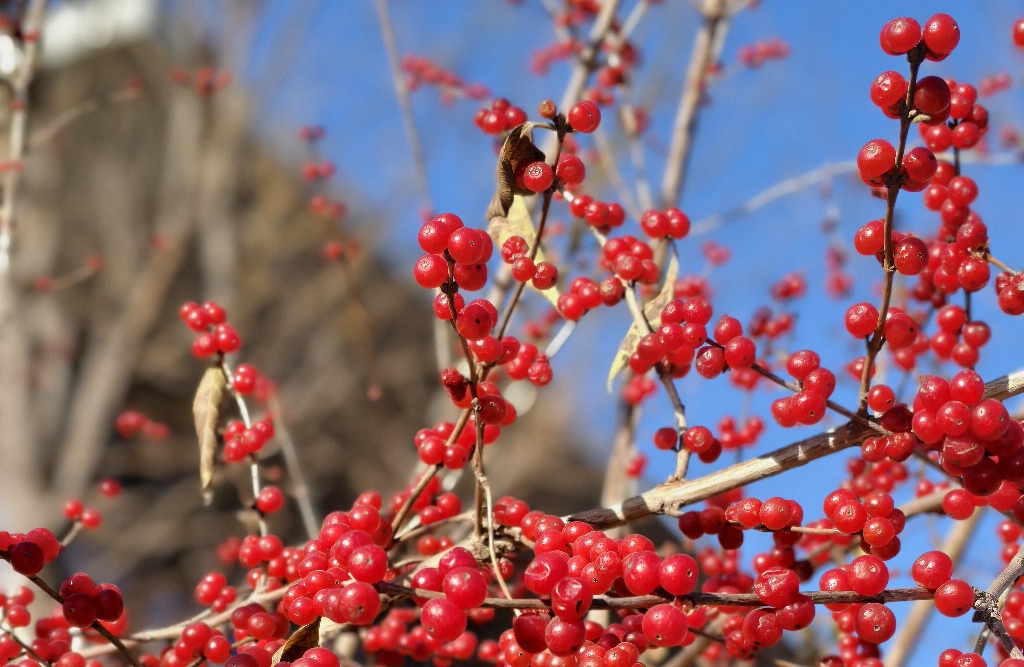 为什么你越努力，反而越焦虑