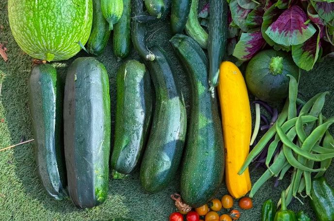 学会这10种相处模式，与人相处很轻松