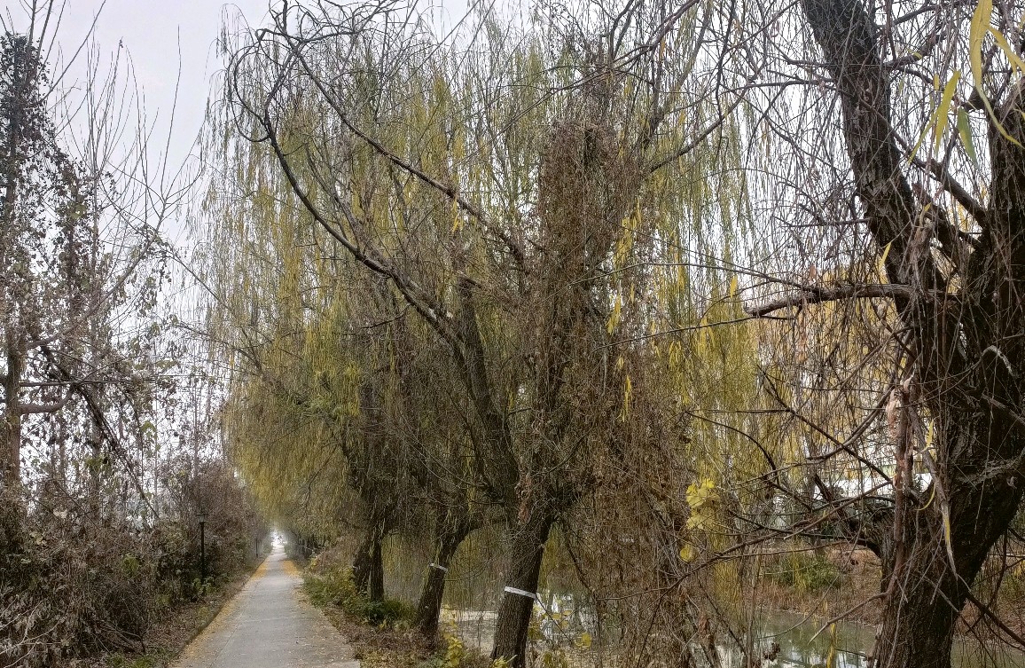 孩子总沉迷游戏？做好这3点，科学引导，不硬碰硬