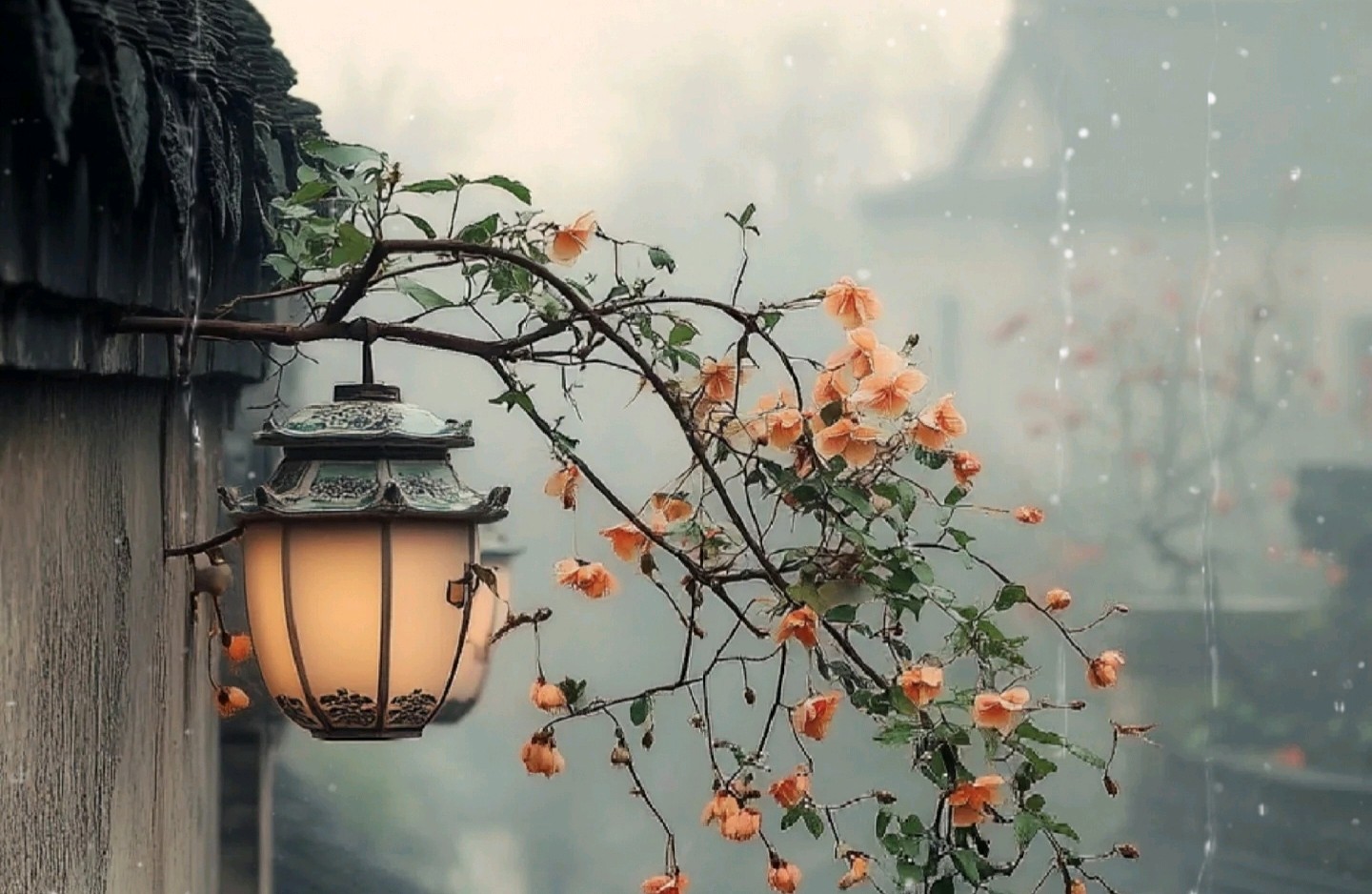 个人成长过程中如何正确处理执迷的情绪？