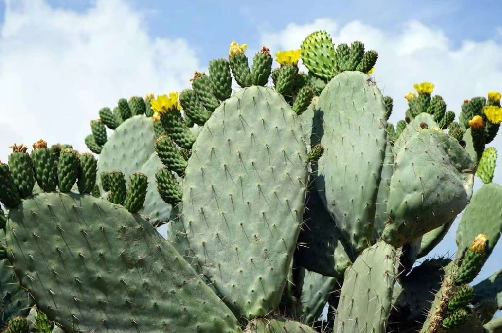 爱自己，从设立“心理边界”开始：3步保护你的能量场