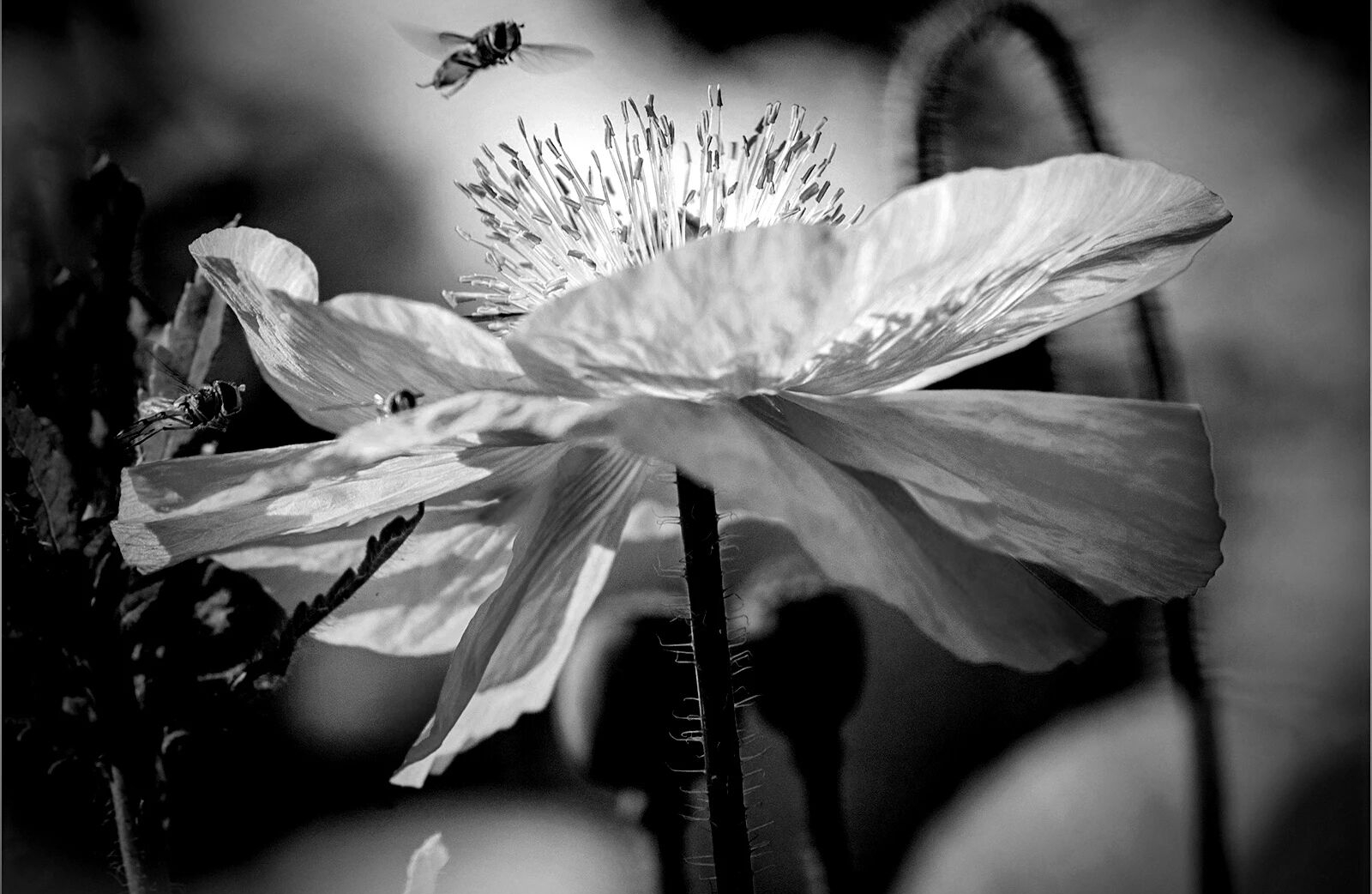 2026不内耗行动计划：以清醒节奏奔赴正向人生