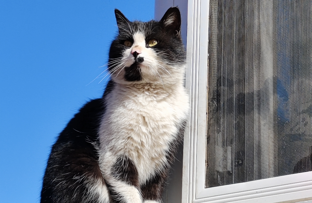 学习累了，就与压力握手言和