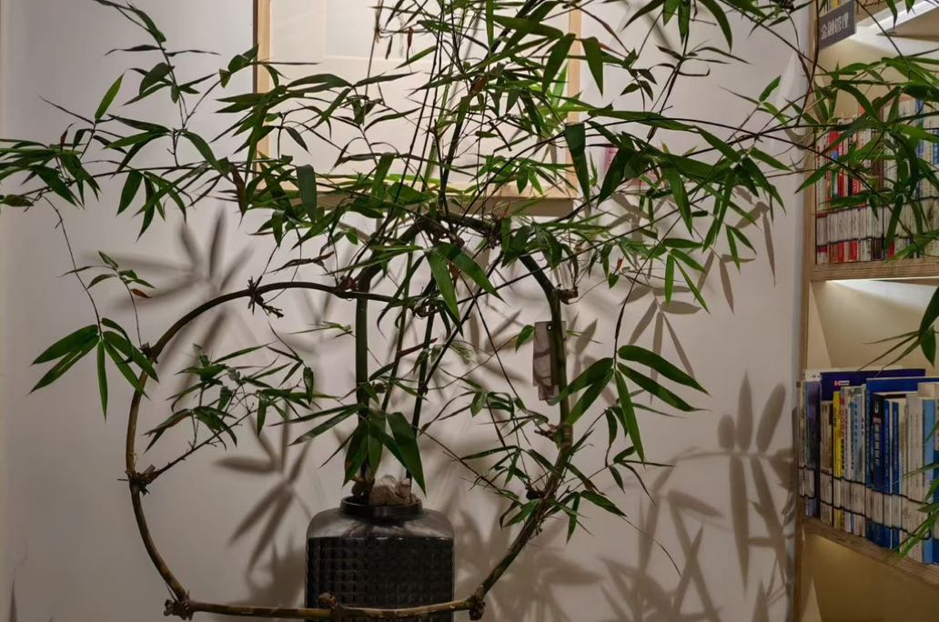 情绪急救：3步“着陆技术”，助你快速走出情绪风暴