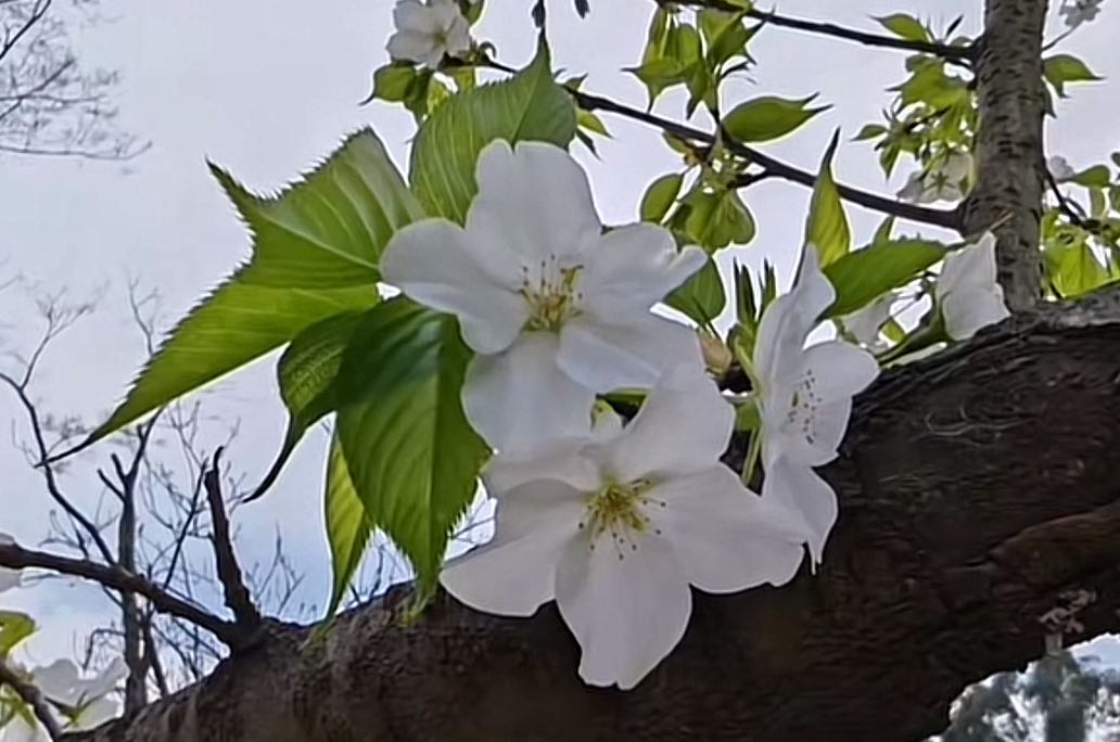 分手复合后，如何和对方重建双向安全感