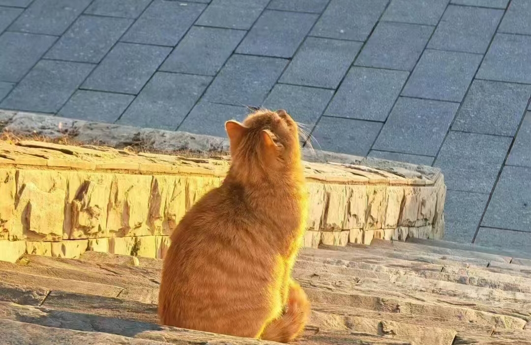 别担心，试试这几个能让恋爱升温的小方法