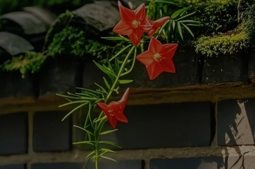 维持美满婚姻的几个核心“真相”和关键因素