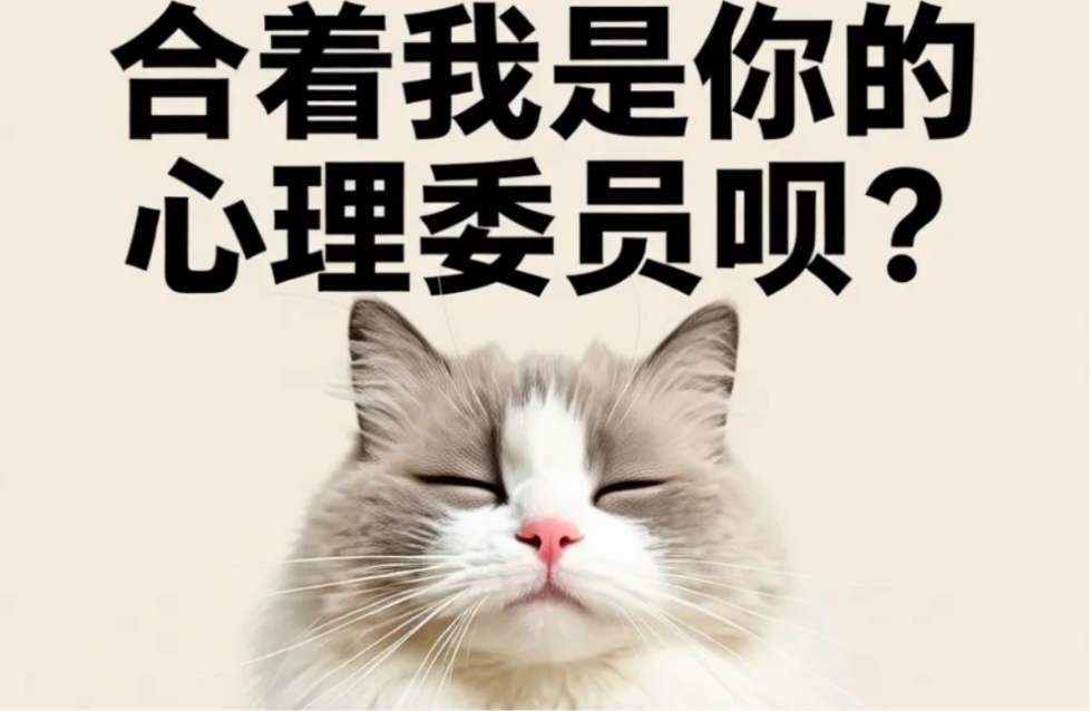 诉求落空时：别让争吵，偷走你真正想要的东西