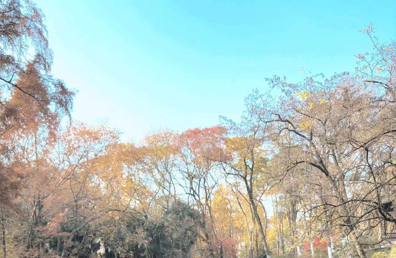 心理学手记：学会 “情绪钝感力”，给心灵松松绑