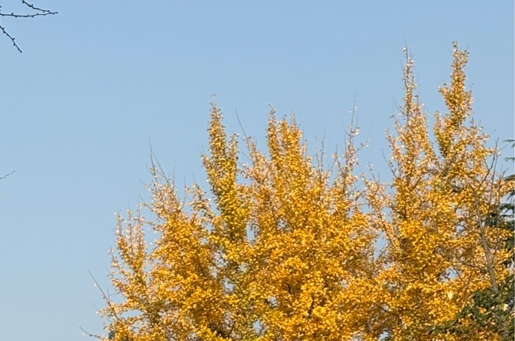 分享一些经营好一段婚姻的具体案例