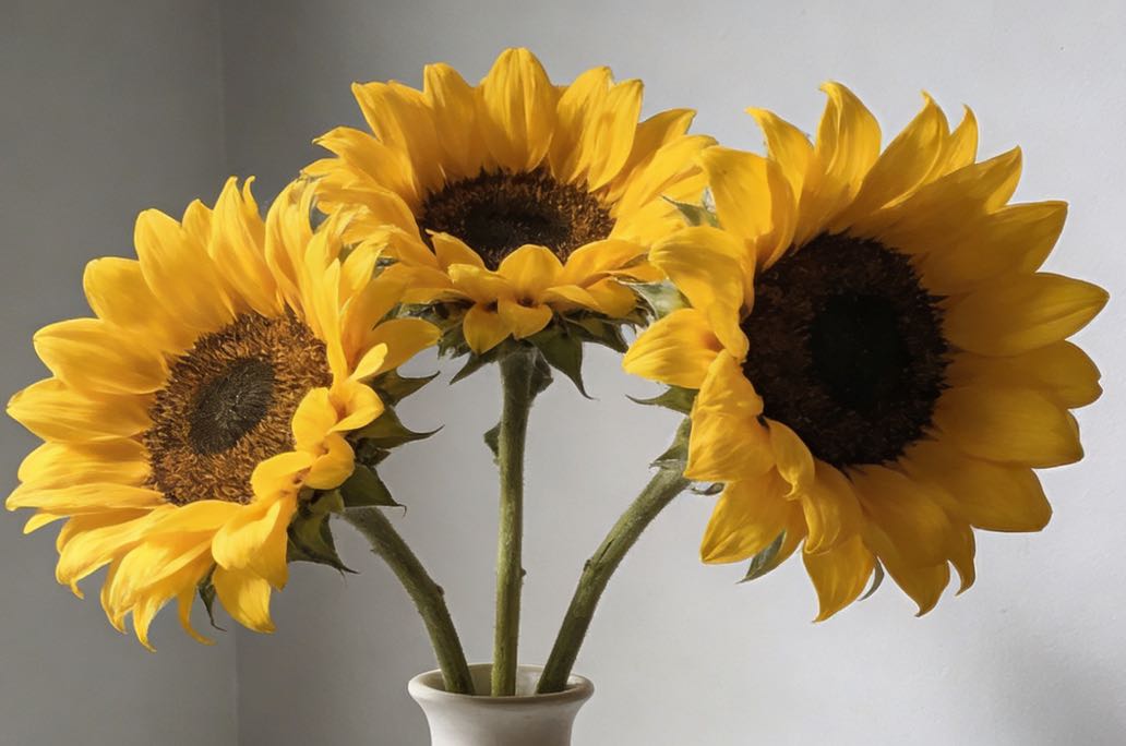 不想做烂好人，可以这么做