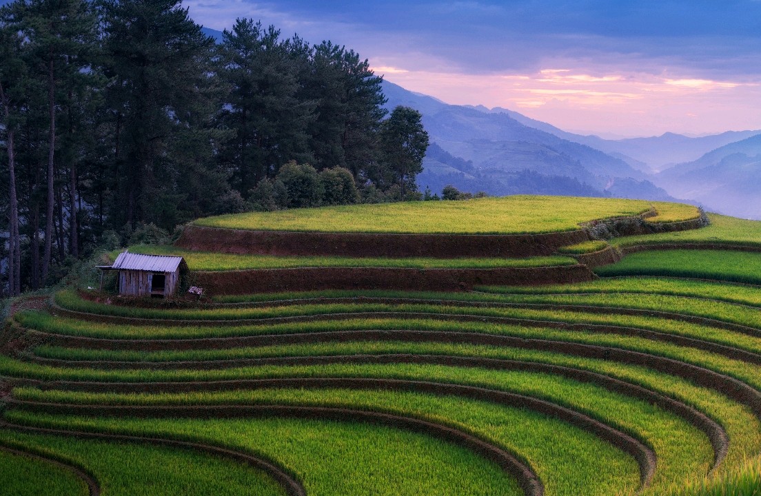 六种心理学技巧以提升心情和效率🤔