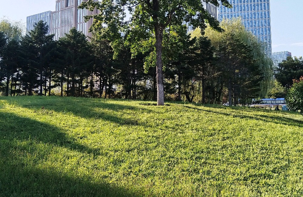 为什么有的人遇事过去很久之后情绪才爆发？