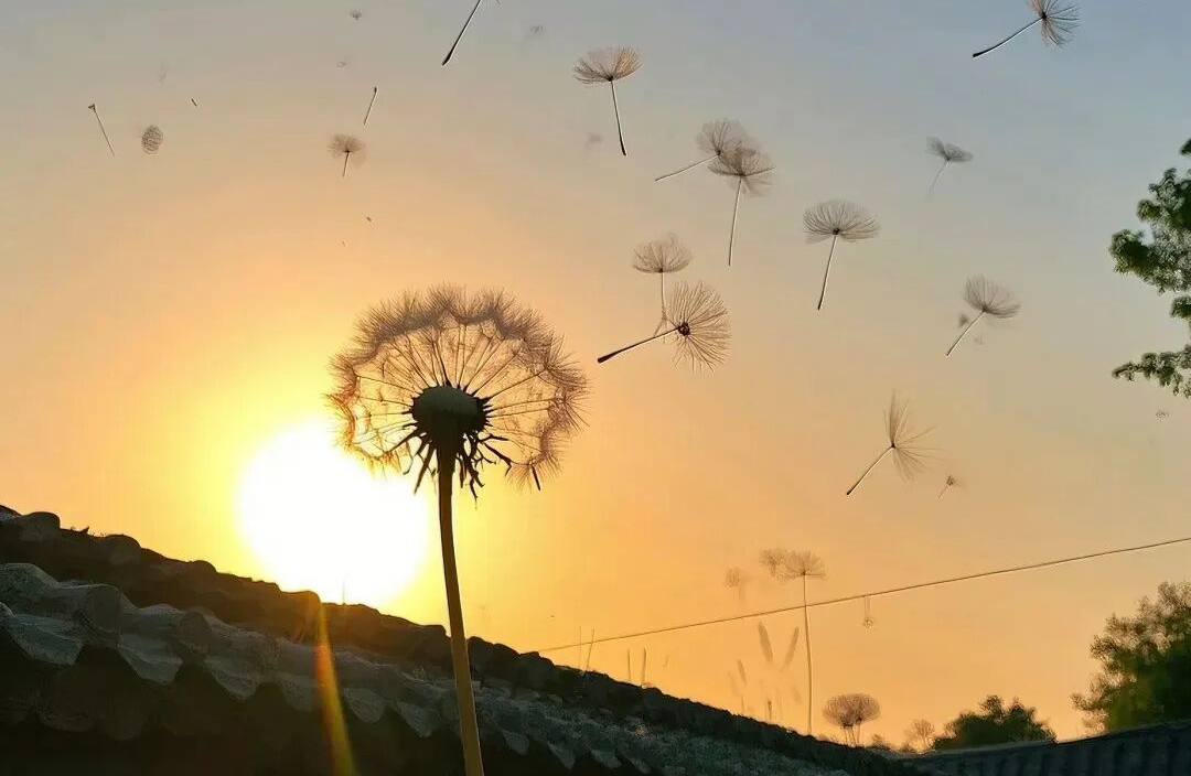 借内在小孩理论 实现职场竞争压力下的自我修复